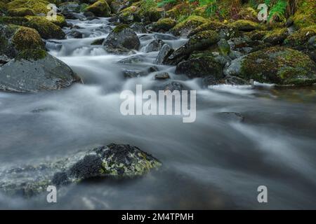 Das Wasser von Allt A' Choire Mhoir, in den Hügeln über Loch Long. Stockfoto