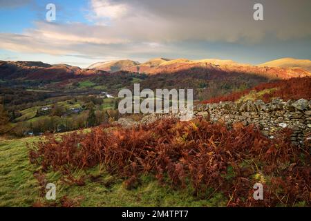 Ein Blick über Elterwater vom Black Fell in der Nähe von Ambleside. Stockfoto