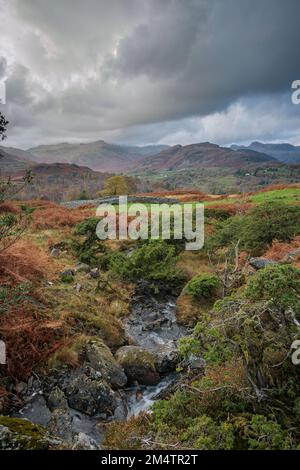 Schmaler Bach auf Black Fell bei Ambleside. Stockfoto