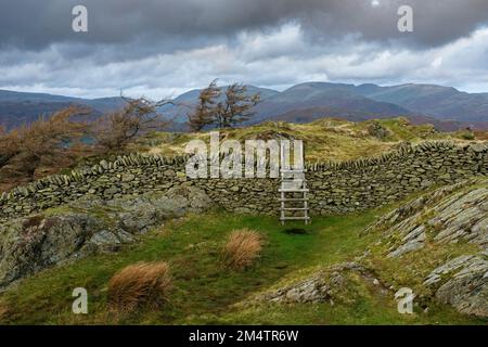 Leiterstiel auf der Spitze von Black Fell zwischen Skelwith Bridge und Ambleside. Stockfoto