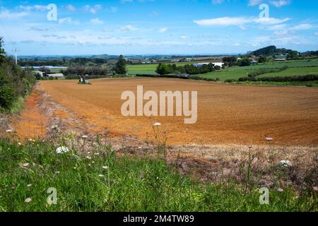 Fruchtbarer Boden auf dem Feld in Pukekohe, einem Marktgärtnergebiet südlich von Auckland, Nordinsel, Neuseeland Stockfoto