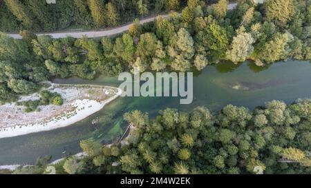 Aufnahme des Flusses Sava Bohinjka in der Nähe von Bled, mit einer Schotterstraße parallel und Wäldern auf beiden Seiten. Kiesdünen in der Mitte des Flusses Stockfoto