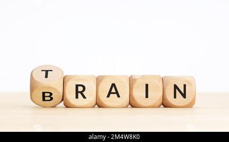 „Training Your Brain“-Konzept. Text auf Holzblöcken und Wickelwürfel. Speicherplatz kopieren Stockfoto