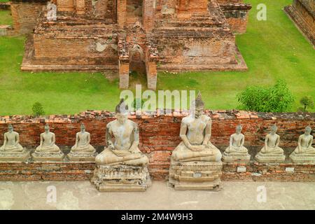 Beeindruckender Blick aus der Vogelperspektive auf die Reihe der Buddha-Bilder im Wat Yai Chai Mongkhon Tempel im Ayutthaya Historical Park, Thailand Stockfoto