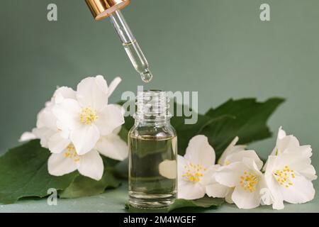 Kosmetische Glasflasche für ätherische Öle mit Jasminblumen auf grünem Hintergrund. Spa, Natürliche Seren. Tropfflaschen-Modell. Speicherplatz kopieren Stockfoto