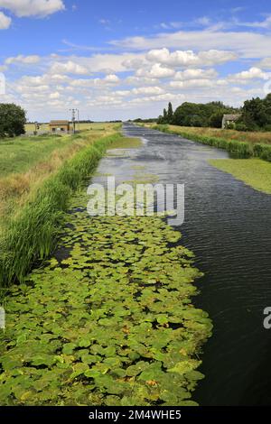 Sommer Blick über Bevills Leam entleeren, Pondersbridge Dorf, Flussauen, Cambridgeshire, England, Großbritannien Stockfoto