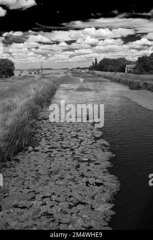 Sommer Blick über Bevills Leam entleeren, Pondersbridge Dorf, Flussauen, Cambridgeshire, England, Großbritannien Stockfoto