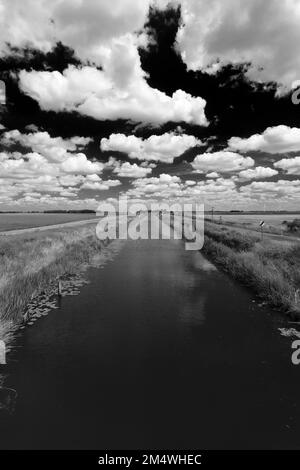 Sommer Blick über Bevills Leam entleeren, Pondersbridge Dorf, Flussauen, Cambridgeshire, England, Großbritannien Stockfoto