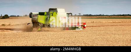 Ein Mähdrescher von Claas in der Nähe von Wisbech, Cambridgeshire, England, Großbritannien Stockfoto