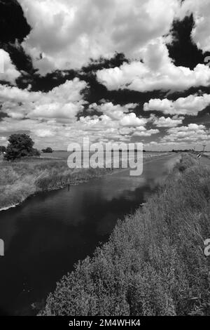 Sommer Blick über Bevills Leam entleeren, Pondersbridge Dorf, Flussauen, Cambridgeshire, England, Großbritannien Stockfoto