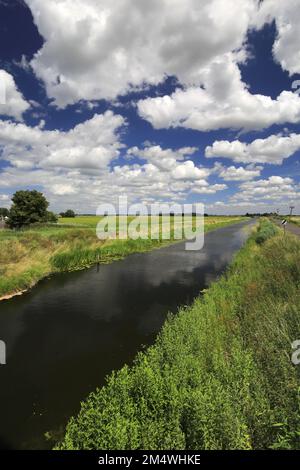 Sommer Blick über Bevills Leam entleeren, Pondersbridge Dorf, Flussauen, Cambridgeshire, England, Großbritannien Stockfoto