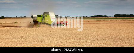 Ein Mähdrescher von Claas in der Nähe von Wisbech, Cambridgeshire, England, Großbritannien Stockfoto