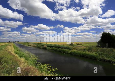 Sommer Blick über Bevills Leam entleeren, Pondersbridge Dorf, Flussauen, Cambridgeshire, England, Großbritannien Stockfoto