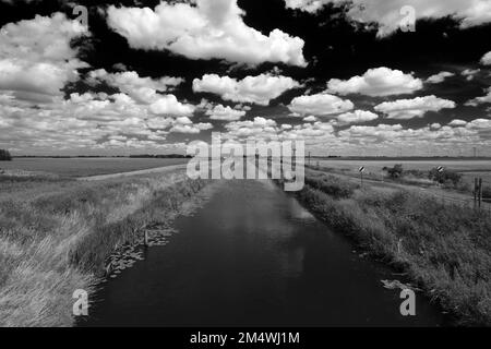 Sommer Blick über Bevills Leam entleeren, Pondersbridge Dorf, Flussauen, Cambridgeshire, England, Großbritannien Stockfoto