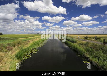 Sommer Blick über Bevills Leam entleeren, Pondersbridge Dorf, Flussauen, Cambridgeshire, England, Großbritannien Stockfoto