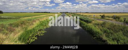 Sommer Blick über Bevills Leam entleeren, Pondersbridge Dorf, Flussauen, Cambridgeshire, England, Großbritannien Stockfoto