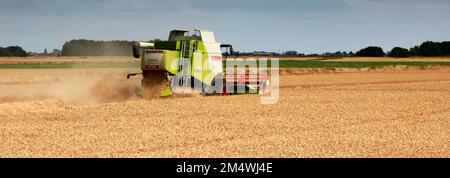 Ein Mähdrescher von Claas in der Nähe von Wisbech, Cambridgeshire, England, Großbritannien Stockfoto