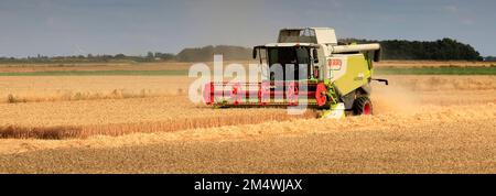 Ein Mähdrescher von Claas in der Nähe von Wisbech, Cambridgeshire, England, Großbritannien Stockfoto