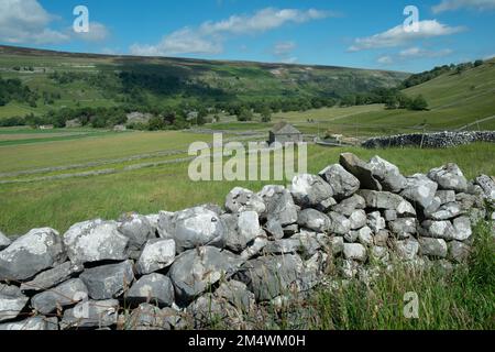 Die malerischen Yorkshire Dales zwischen Arncliffe und Malham, Yorkshire, Großbritannien Stockfoto