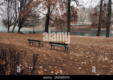 Ein ruhiger Park mit zwei Bänken in der Nähe des Flusses und Bäumen, die im Winter von heruntergefallenen Blättern umgeben sind Stockfoto