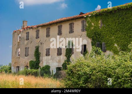 Eine Nahaufnahme eines verlassenen alten Gebäudes mit einem zerstörten Dach und Fenstern, die mit grünen Blättern bedeckt sind Stockfoto
