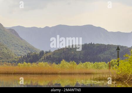 Wasserlandschaft auf der Rijeka Crnojevića, Montenegro, von einem Boot aus Stockfoto