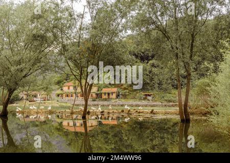 Wasserlandschaft auf der Rijeka Crnojevića, Montenegro, von einem Boot aus Stockfoto