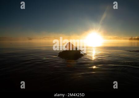 Ein Blatt wird von der aufgehenden Sonne beleuchtet, wenn die Jahreszeit sich auf den Herbst ändert. Lake Tahoe, Kalifornien Stockfoto