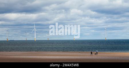 Ein Blick auf die Windturbinen vor der Küste von Redcar, England, Großbritannien, mit Menschen, die mit ihrem Hund am Strand spazieren Stockfoto