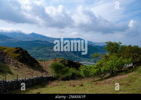 Blick auf Cader Idris über den Fluss Mawddach vom New precipice Walk, der behindertengerechten Zugang zu Panoramablick auf die Berge bietet. Llanelltyd, Dol Stockfoto