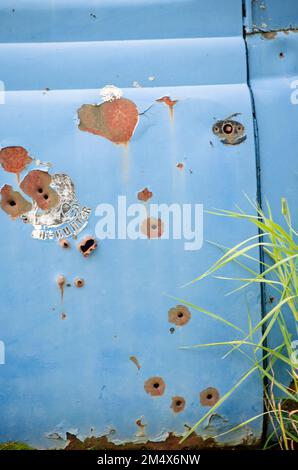 Einschusslöcher durchdringen zufällig eine alte Trucktür; nur die Zielscheibe von jemandem oder Frustration mit alten Dschunks?, Ellison Bay, Wisconsin Stockfoto