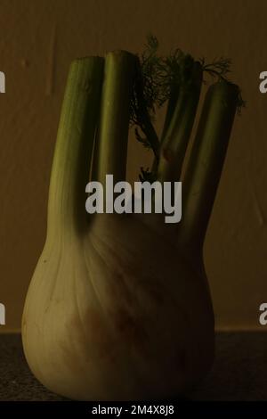 Einfaches Bild eines Fenchels bei schwachem Licht Stockfoto