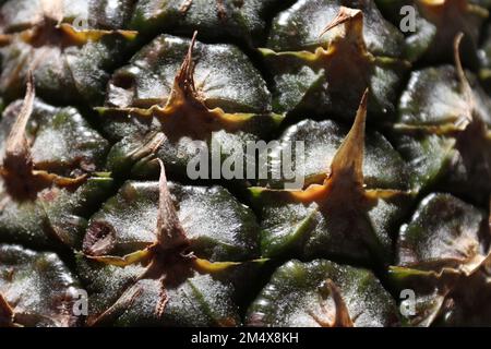 Hintergrundbild, das aus verschiedenen Formen einer Ananas besteht Stockfoto