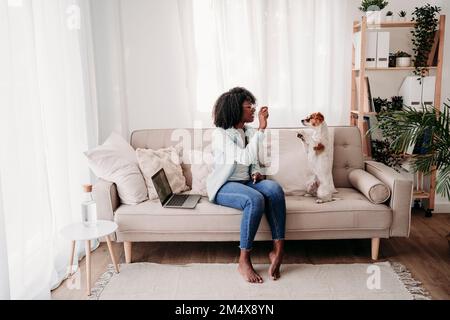 Eine Frau füttert den Hund, der zu Hause auf dem Sofa aufwächst Stockfoto