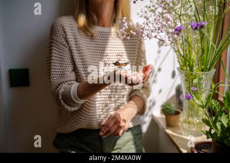 Schmetterling an der Hand einer Frau zu Hause Stockfoto