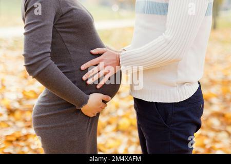 Hände eines Mannes, der den Magen einer schwangeren Frau im Park berührt Stockfoto