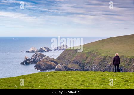 Großbritannien, Schottland, Unst, weibliche Wanderer auf einer Klippe mit Blick auf den Muckle Flugga Leuchtturm Stockfoto