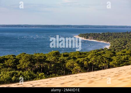 Frankreich, Nouvelle-Aquitaine, Pyla sur Mer, Arcachon Bay und bewaldete Küste der Düne von Pilat Stockfoto