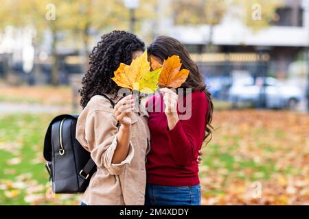 Frauen verstecken sich hinter Herbstblättern im Park Stockfoto