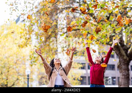 Glückliche junge Frauen, die Herbstblätter werfen und den Park genießen Stockfoto