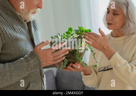 Seniorenpaar, das sich um Hauspflanzen kümmert Stockfoto