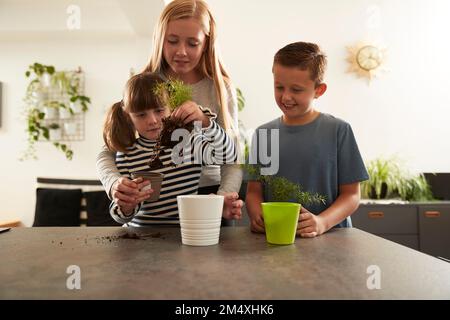 Ein Mädchen, das der Schwester beim Töpfen hilft, vom Bruder zu Hause Stockfoto