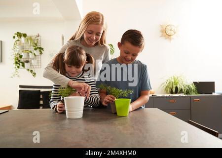 Lächelndes Mädchen, das Bruder und Schwester bei der Töpferpflanze auf dem Tisch zu Hause führt Stockfoto