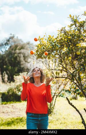 Glückliche Frau jongliert mit Orangen, die im Garten an Bäumen steht Stockfoto