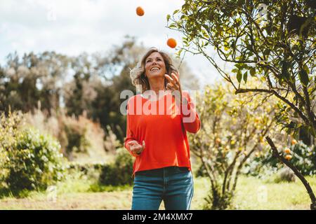 Glückliche reife Frau jongliert mit Orangen, die im Garten am Baum steht Stockfoto