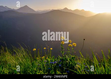 Österreich, Salzburg, Bad Gastein, Stubnerkogel-Berg bei Sonnenuntergang mit im Vordergrund blühenden Globeblumen (Trollius europaeus) Stockfoto