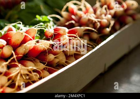 Frische Radieschen werden in einer Holzkiste eines Bio-Restaurants/der Eyepix Group (Bild: © Martin Bertrand/Eyepix via ZUMA Press Wire) gesehen. Kredit: ZUMA Press, Inc./Alamy Live News Stockfoto