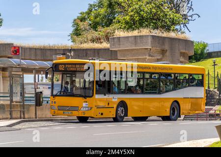 Ein gelber Horarios do Funchal Bus an einem Bahnhof in Funchal, Madeira Stockfoto