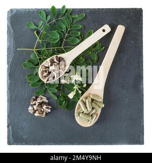 Der Baum der Heilpflanze Life-Moringa oleifera Stockfoto