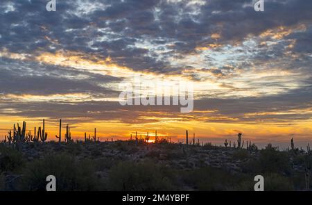 Weitverhältnis-Landschaft der Sonora-Wüste bei Sonnenuntergang in Arizona Stockfoto